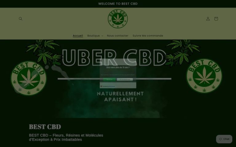 Capture de la page d’accueil de Best CBD