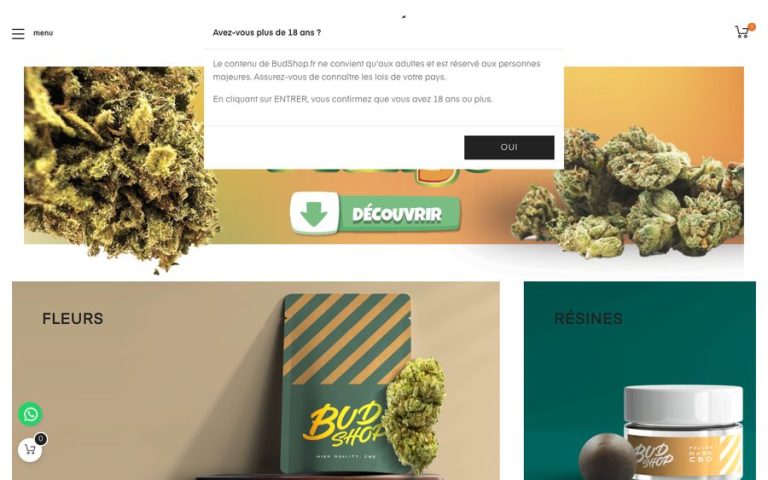Capture de la page d’accueil de Budshop
