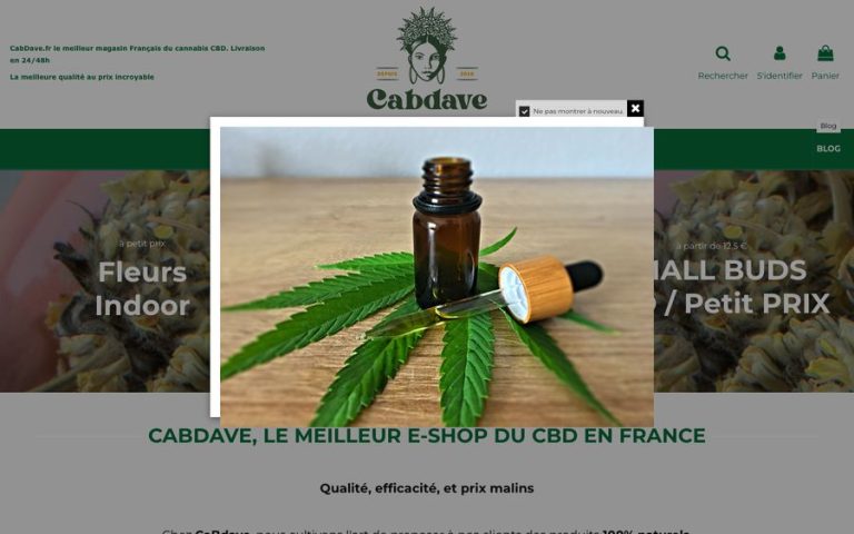 Capture de la page d’accueil de CabDave