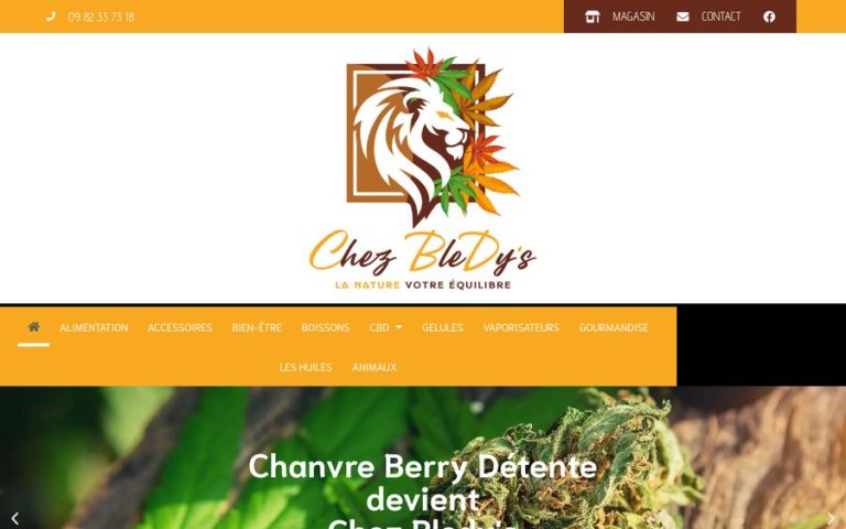 Capture de la page d’accueil de Chanvre Berry Détente