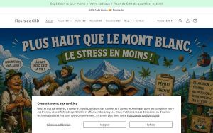 Capture de la page d’accueil de Fleur de CBD