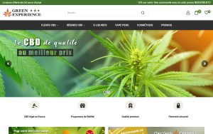 Capture de la page d’accueil de Green Experience
