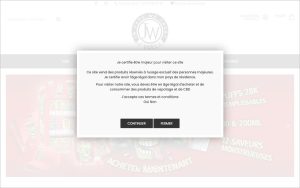 Capture de la page d’accueil de JWell Lyon