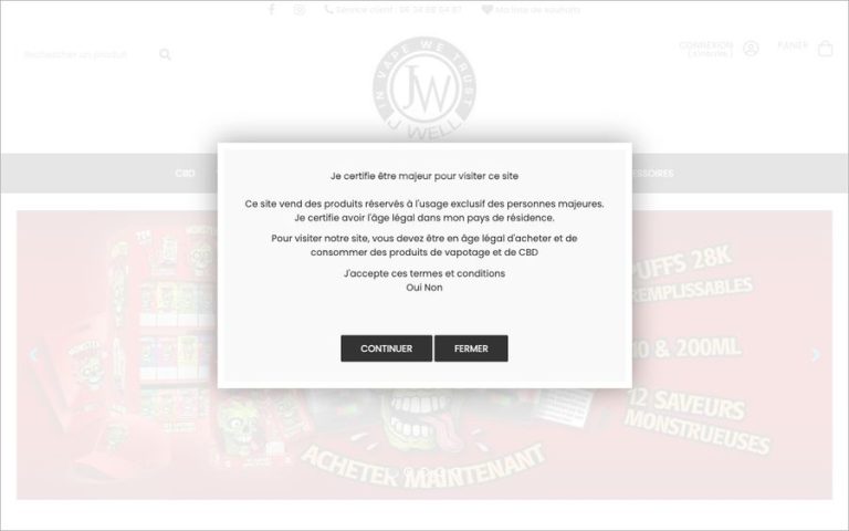 Capture de la page d’accueil de JWell Lyon