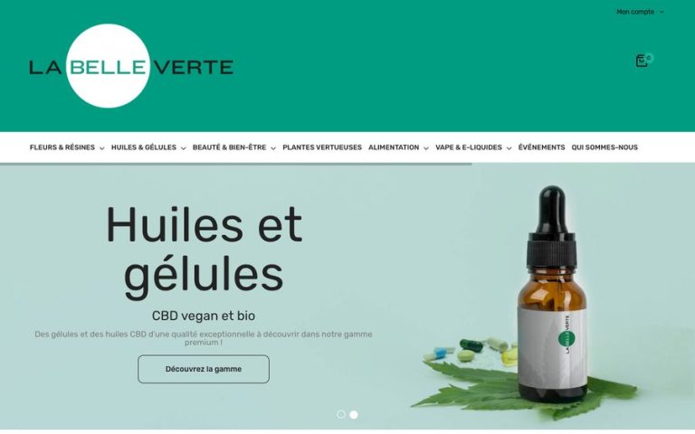 Capture de la page d’accueil de La Belle Verte