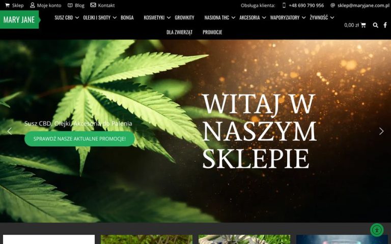 Capture de la page d’accueil de Mary Jane