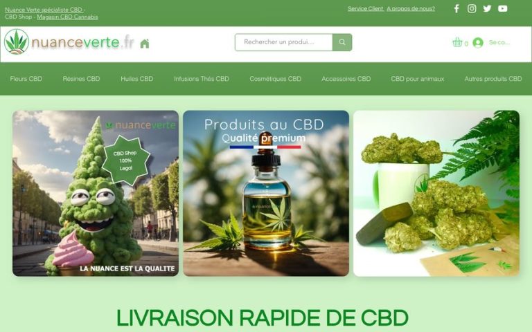 Capture de la page d’accueil de Nuance Verte