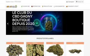Capture de la page d’accueil de Ocbondelire