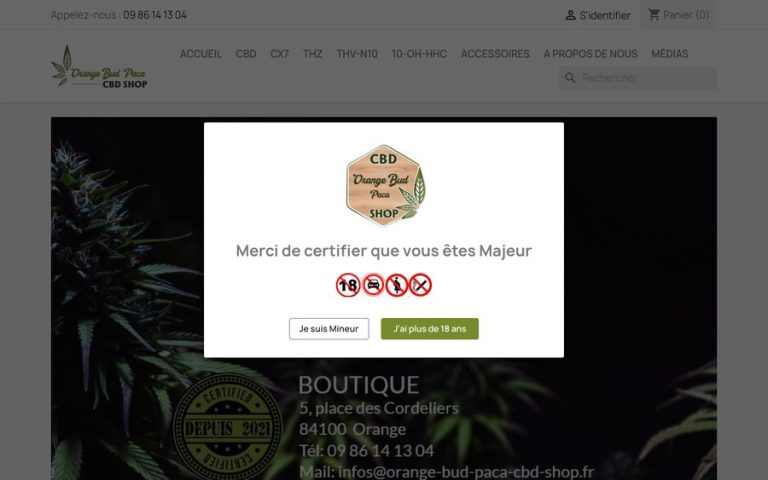 Capture de la page d’accueil de Orange BUD PACA