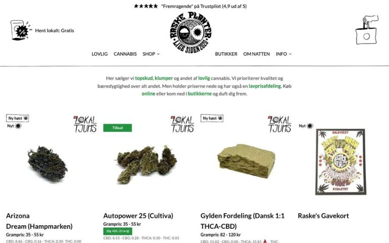 Capture de la page d’accueil de Raske Planter
