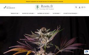 Capture de la page d’accueil de Roots Seeds