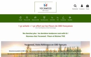 Capture de la page d’accueil de Yocaweed